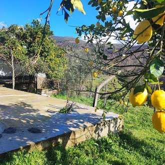 6 bedrooms House in Cabril, Portugal No. 185520