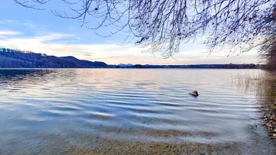 5 rooms House in Lochen am See, Austria No. 82480