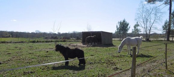 1 bedroom Castles in Langon, France No. 103945 11