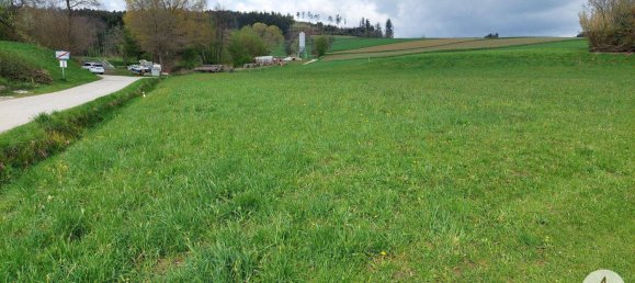 Grundstück in Rastenfeld, Austria, Nr. 136556 12