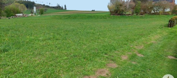 Grundstück in Rastenfeld, Austria, Nr. 136556 11