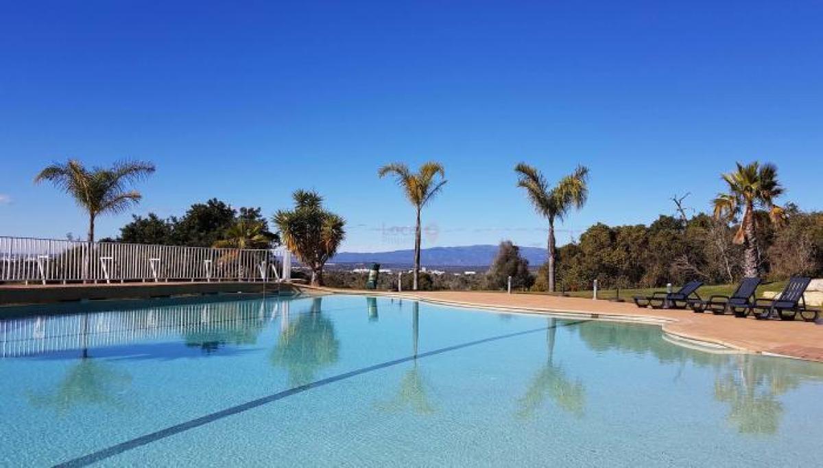 استوديو في Lagoa, Portugal رقم 3091