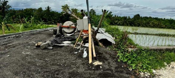 Terreno en Tabanan, Indonesia 1185 m² No. 4299 6