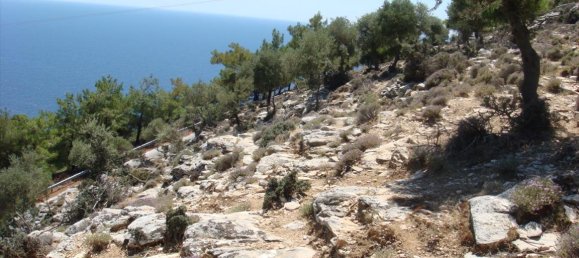 30000m² Hotel in Thasos, Greece No. 6387 3