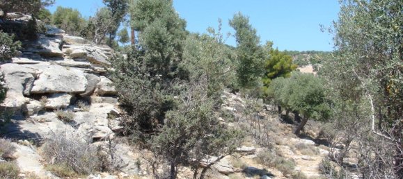 30000m² Hotel in Thasos, Greece No. 6387 8