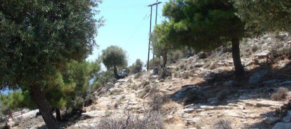 30000m² Hotel in Thasos, Greece No. 6387 7