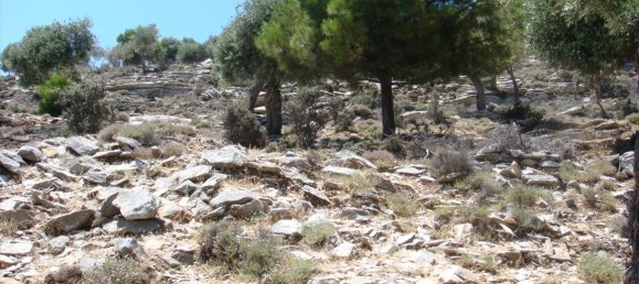 30000m² Hotel in Thasos, Greece No. 6387 5