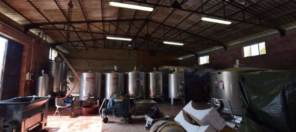 20 bedrooms House in Arezzo, Italy No. 92882 19