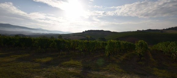 20 bedrooms House in Arezzo, Italy No. 92882 12