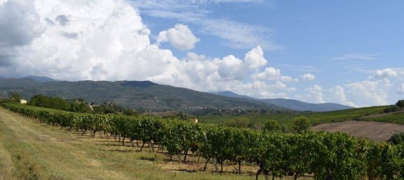 20 bedrooms House in Arezzo, Italy No. 92882 34