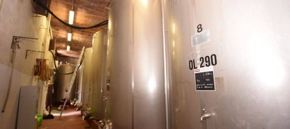 20 bedrooms House in Arezzo, Italy No. 92882 30