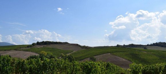 20 bedrooms House in Arezzo, Italy No. 92882 32