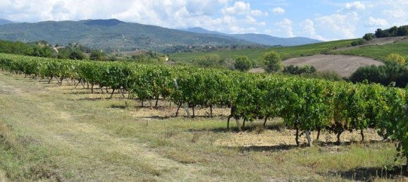 20 bedrooms House in Arezzo, Italy No. 92882 36