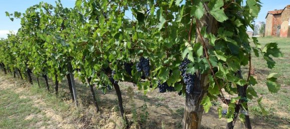 20 bedrooms House in Arezzo, Italy No. 92882 37