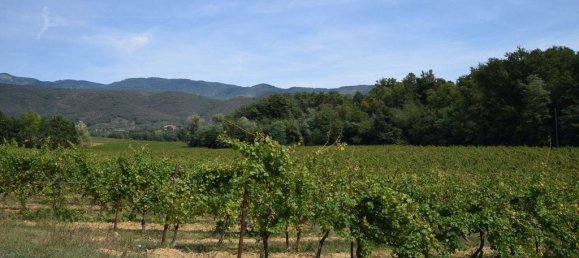 20 bedrooms House in Arezzo, Italy No. 92882 39