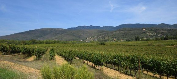 20 bedrooms House in Arezzo, Italy No. 92882 7