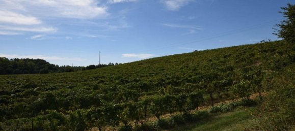 20 bedrooms House in Arezzo, Italy No. 92882 5