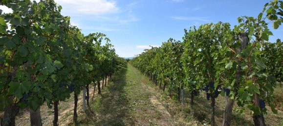 20 bedrooms House in Arezzo, Italy No. 92882 38