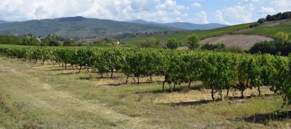 20 bedrooms House in Arezzo, Italy No. 92882 35