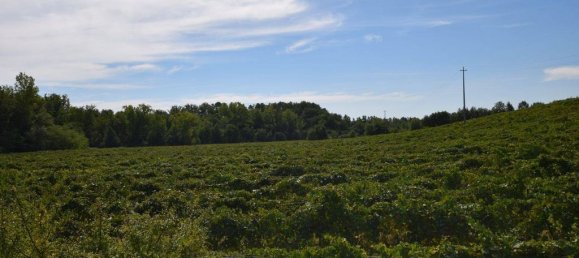 20 bedrooms House in Arezzo, Italy No. 92882 6