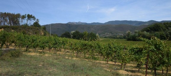 20 bedrooms House in Arezzo, Italy No. 92882 2