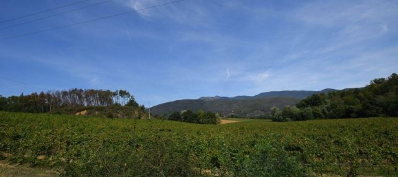 20 bedrooms House in Arezzo, Italy No. 92882 4