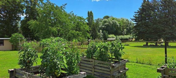 6 rooms Castles in Leipzig, Germany No. 57188 3