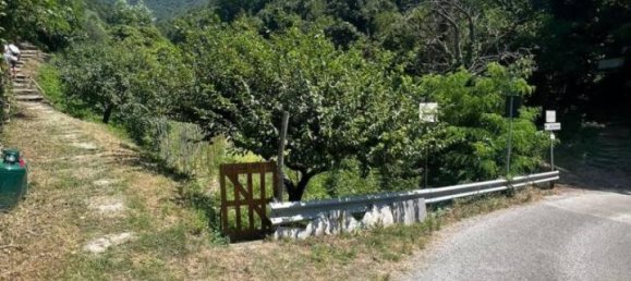 8 rooms Villa in Cogorno, Italy No. 73089 48