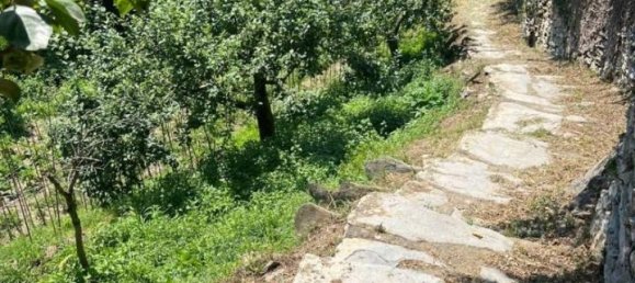 8 rooms Villa in Cogorno, Italy No. 73089 49