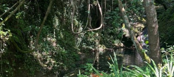 8 rooms Villa in Cogorno, Italy No. 73089 40