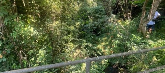 8 rooms Villa in Cogorno, Italy No. 73089 41