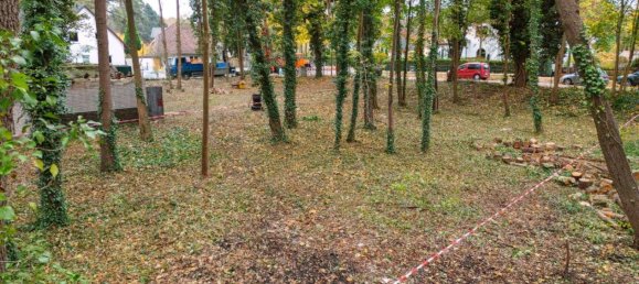 Terrain à Dahme-Spreewald, Germany No. 81300 6