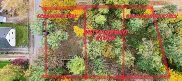 Terrain à Dahme-Spreewald, Germany No. 81300 5