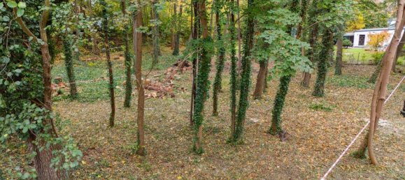 Terrain à Dahme-Spreewald, Germany No. 81300 4