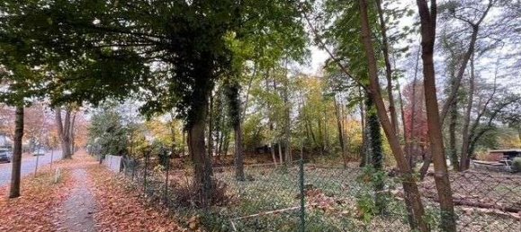 Terrain à Dahme-Spreewald, Germany No. 81300 2