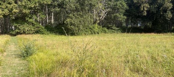 Terrain à Casteljaloux, France 1642m² No. 310539 4