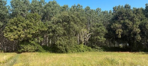 Terrain à Casteljaloux, France 1642m² No. 310539 3