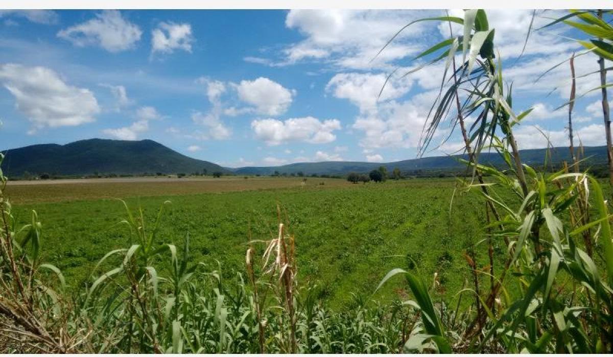 Студия в Керетаро, Мексика № 186811