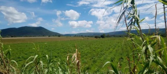 Студия в Керетаро, Мексика № 186811 2