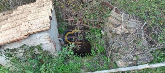 3 غرف نوم منزل في Sao Bartolomeu de Messines, Portugal رقم 151561 19