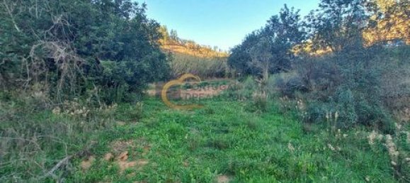 3 غرف نوم منزل في Sao Bartolomeu de Messines, Portugal رقم 151561 17