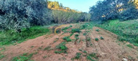 3 غرف نوم منزل في Sao Bartolomeu de Messines, Portugal رقم 151561 16