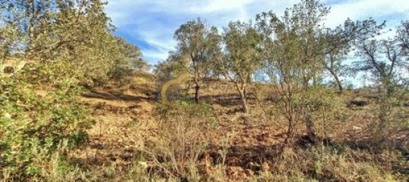 3 غرف نوم منزل في Sao Bartolomeu de Messines, Portugal رقم 151561 23