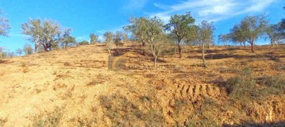 3 غرف نوم منزل في Sao Bartolomeu de Messines, Portugal رقم 151561 29