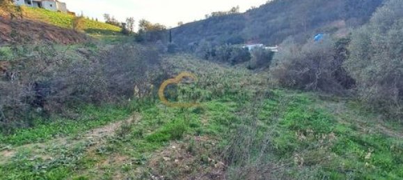 3 غرف نوم منزل في Sao Bartolomeu de Messines, Portugal رقم 151561 31