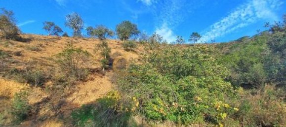 3 غرف نوم منزل في Sao Bartolomeu de Messines, Portugal رقم 151561 27