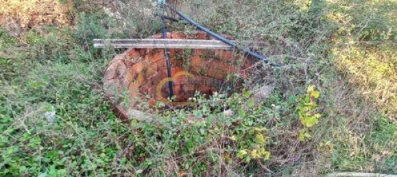 3 غرف نوم منزل في Sao Bartolomeu de Messines, Portugal رقم 151561 35