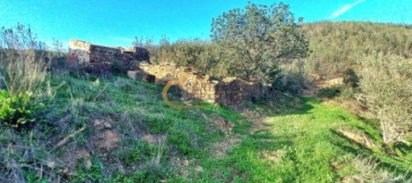 3 غرف نوم منزل في Sao Bartolomeu de Messines, Portugal رقم 151561 34