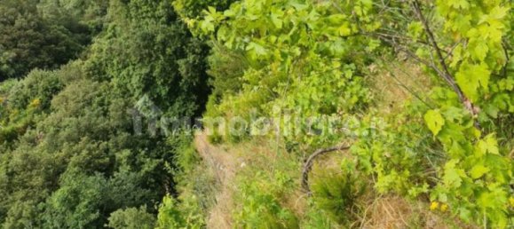 2 Schlafzimmer Haus in La Spezia, Italy, Nr. 104212 17