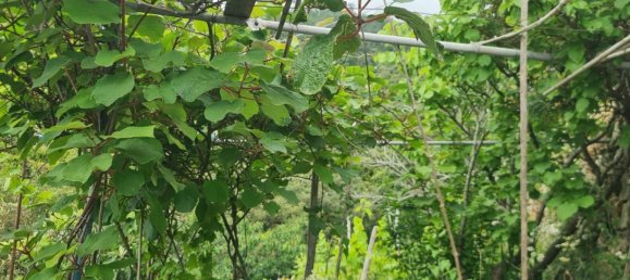 2 Schlafzimmer Haus in La Spezia, Italy, Nr. 104212 15